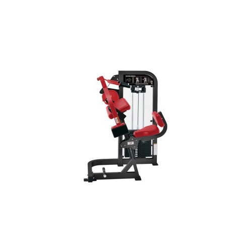 Select Triceps Extension