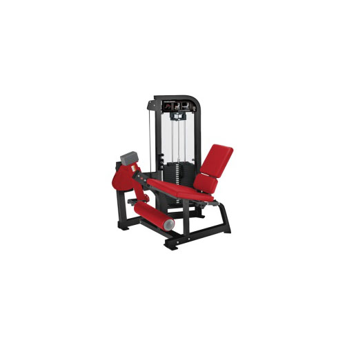 Select Leg Extension