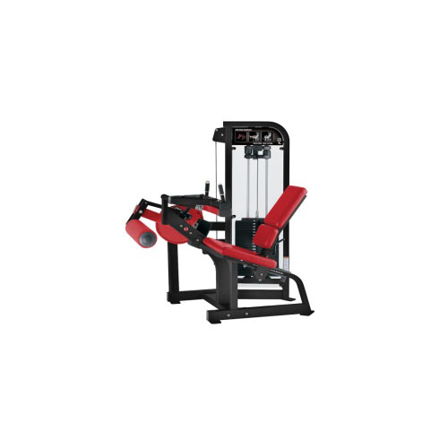 Select Seated Leg Curl