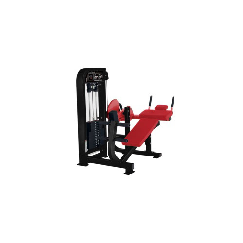 Select Abdominal Crunch
