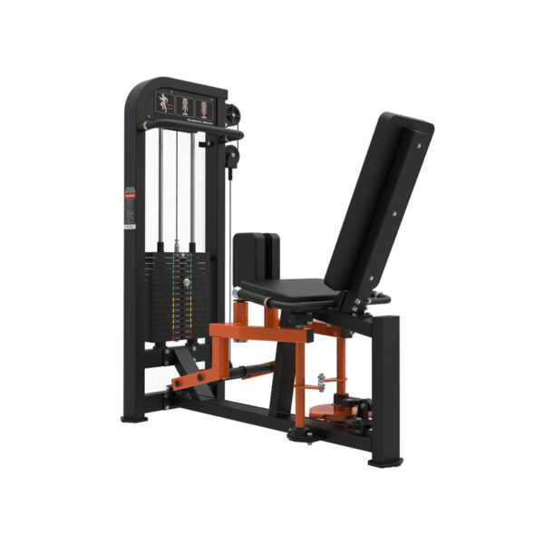 Hip Adduction/Abduction
