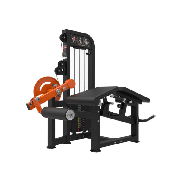Leg Curl/Extension