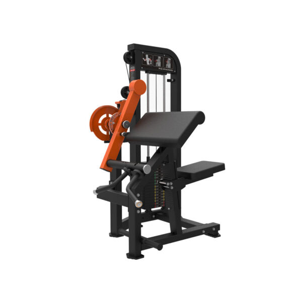 Biceps Curl /Triceps Extension