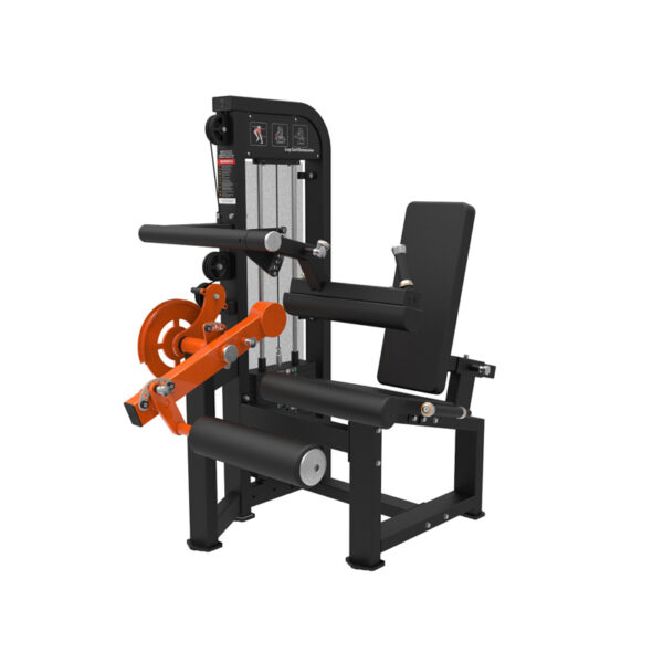 Leg Curl/Extension