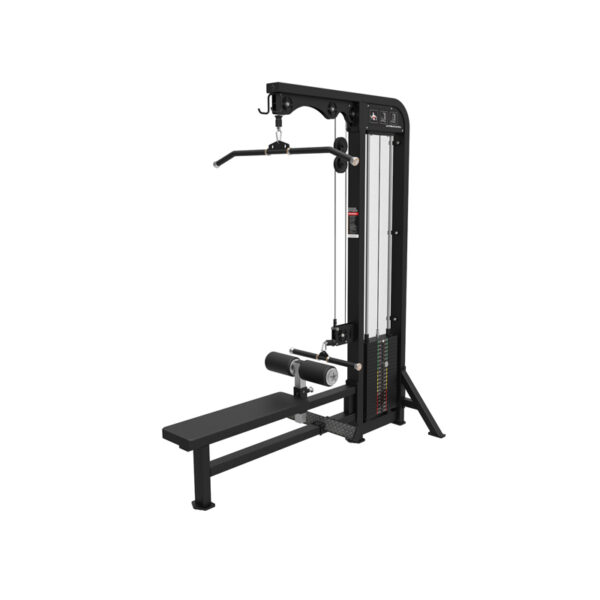 Lat Pulldown / Low Row